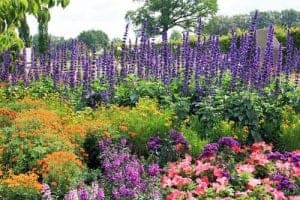 Mehr über den Artikel erfahren Welche Kosten entstehen bei einer Gartengestaltung?