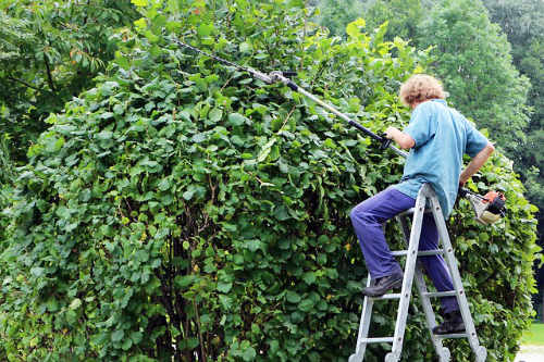 Ein professioneller Landschaftsgärtner kann bei der Pflege des Gartens helfen