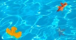 Die Poolabdeckung für die Abwehr von Blättern und Schmutz