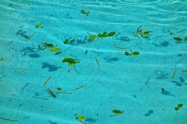 Mit einer Pool Filteranlage für sauberes Poolwasser sorgen