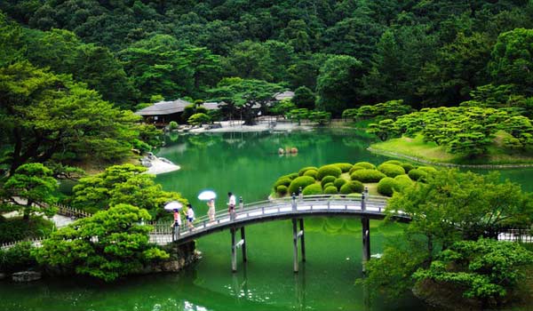 Japangarten mit Brücke und Teich