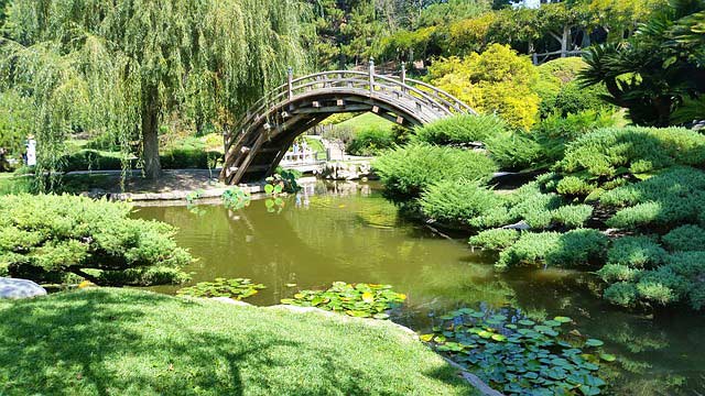Der ZeJapangarten Garten als japanischer Teichgarten