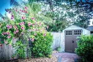 Mehr über den Artikel erfahren Ordnung im Garten schaffen