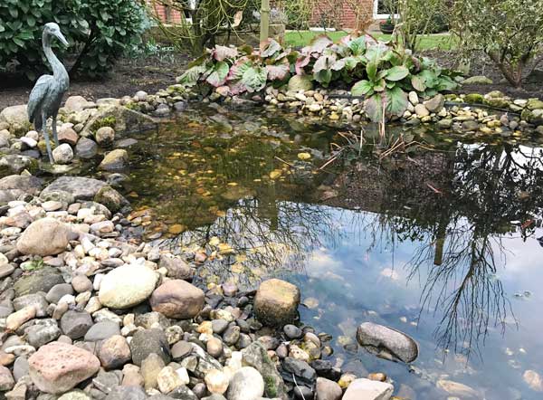 Klares Wasser für den Gartenteich - so geht's!