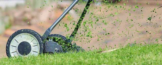 56+ Was Ist Ein Mulchmäher, Was ist mulchmähen oder mulchen?
