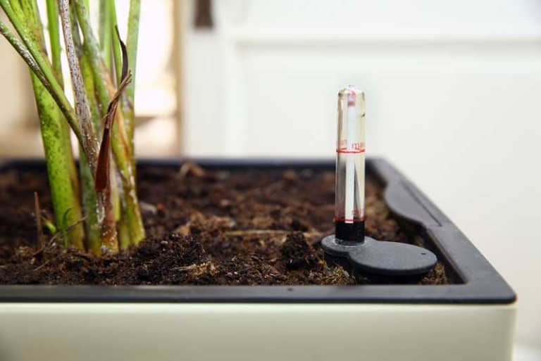 ᑕ ᑐ Pflanztopf mit Bewässerungssystem +++ 2024+++ Ratgeber Gartenpflege