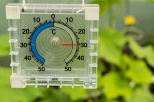 Gewächshausthermometer (depositphotos.com)