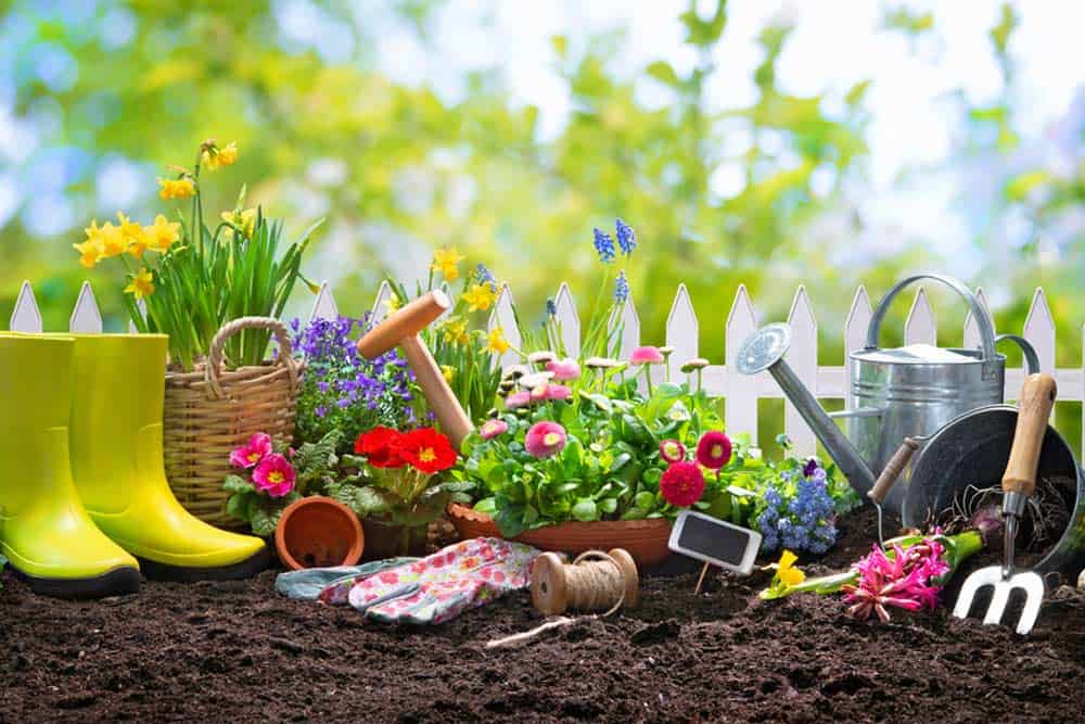 Gartenpflege im Frühjahr (depositphotos.com) Gartenpflege im Frühjahr (depositphotos.com)