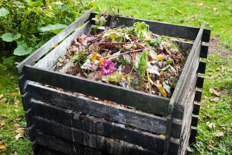 Read more about the article Richtig Kompostieren: Schritt für Schritt zum fruchtbaren Bodengold