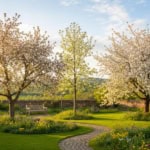 Bäume mit wenig Blütenpollen
